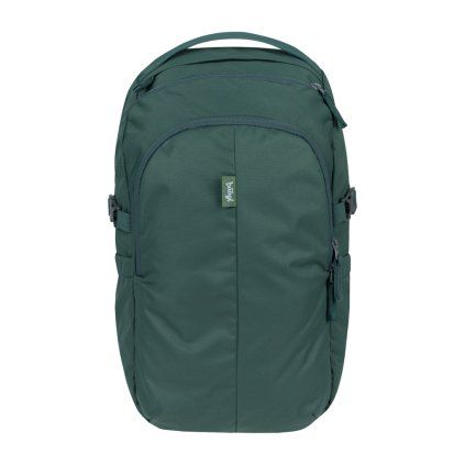 a 35036 tit