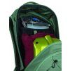 Osprey Kresta 20 pine leaf green