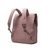 Herschel City - Ash Rose 16L