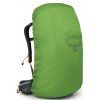 Osprey SIRRUS 36 succulent green