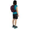 Osprey RAVEN 14 aprium purple