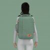CabinZero Classic 36L Sage forest
