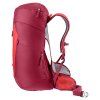 3421024 5598 ACLite30 cherry masala D 04