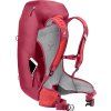 3421024 5598 ACLite30 cherry masala D 07