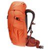 3611024 9513 Climber22 papaya redwood D 04