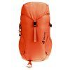 3611024 9513 Climber22 papaya redwood D 05