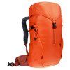 3611024 9513 Climber22 papaya redwood D 08
