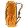 3610523 9911 Junior maple amber D 04