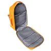 foppe mustard 19 l p14854 06