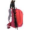 deuter AC Lite 17 cherry-masala