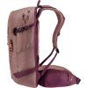 deuter Freerider 22 SL ashrose-cassis