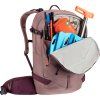 deuter Freerider 22 SL ashrose-cassis