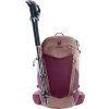 deuter Futura 25 SL cassis-ashrose
