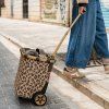 Reisenthel Carrycruiser Frame Leo Macchiato – nákupní vozík, fotografie v prostředí 2