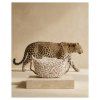 zwei m70 m70leo fashion 0193
