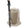 deuter Futura 27 greystone-alu
