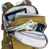 deuter Gigant kelp-nori